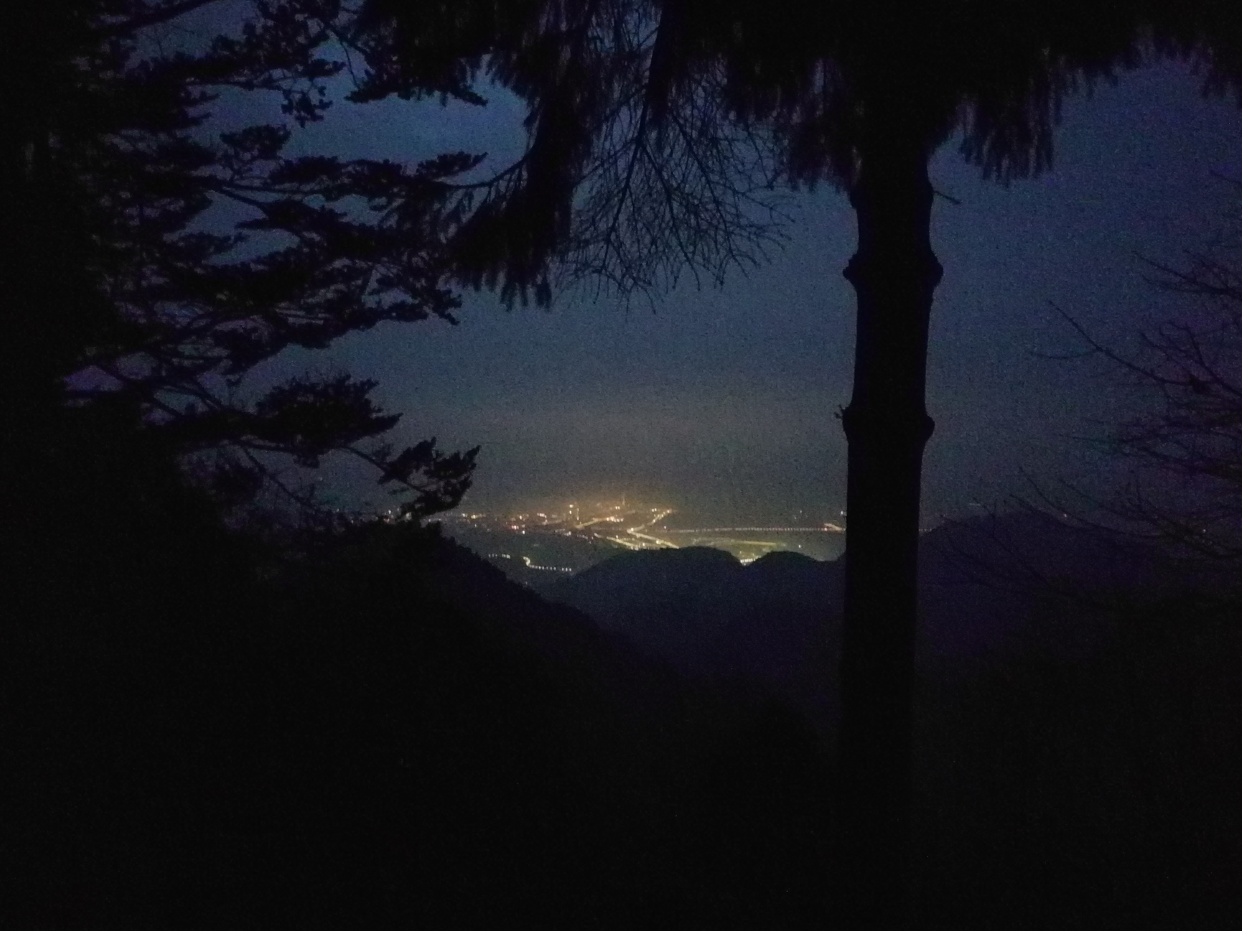 夜景1