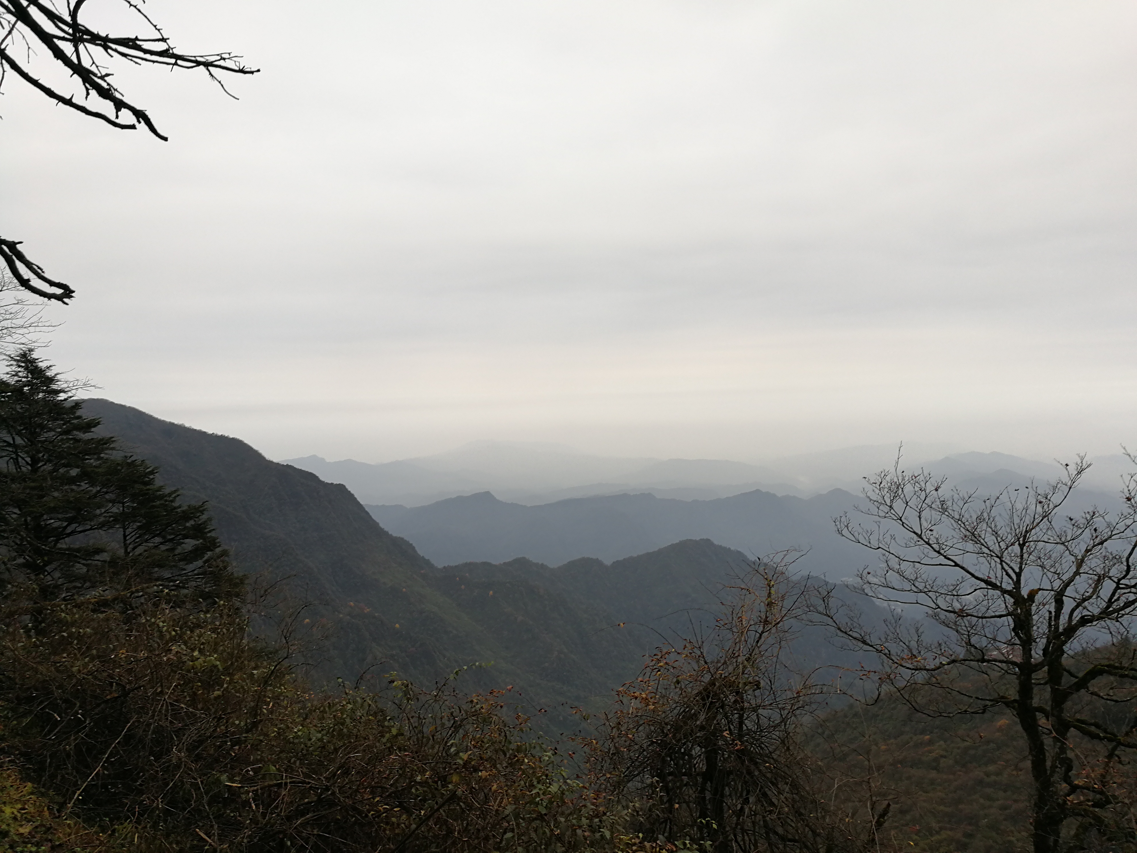 山雾2