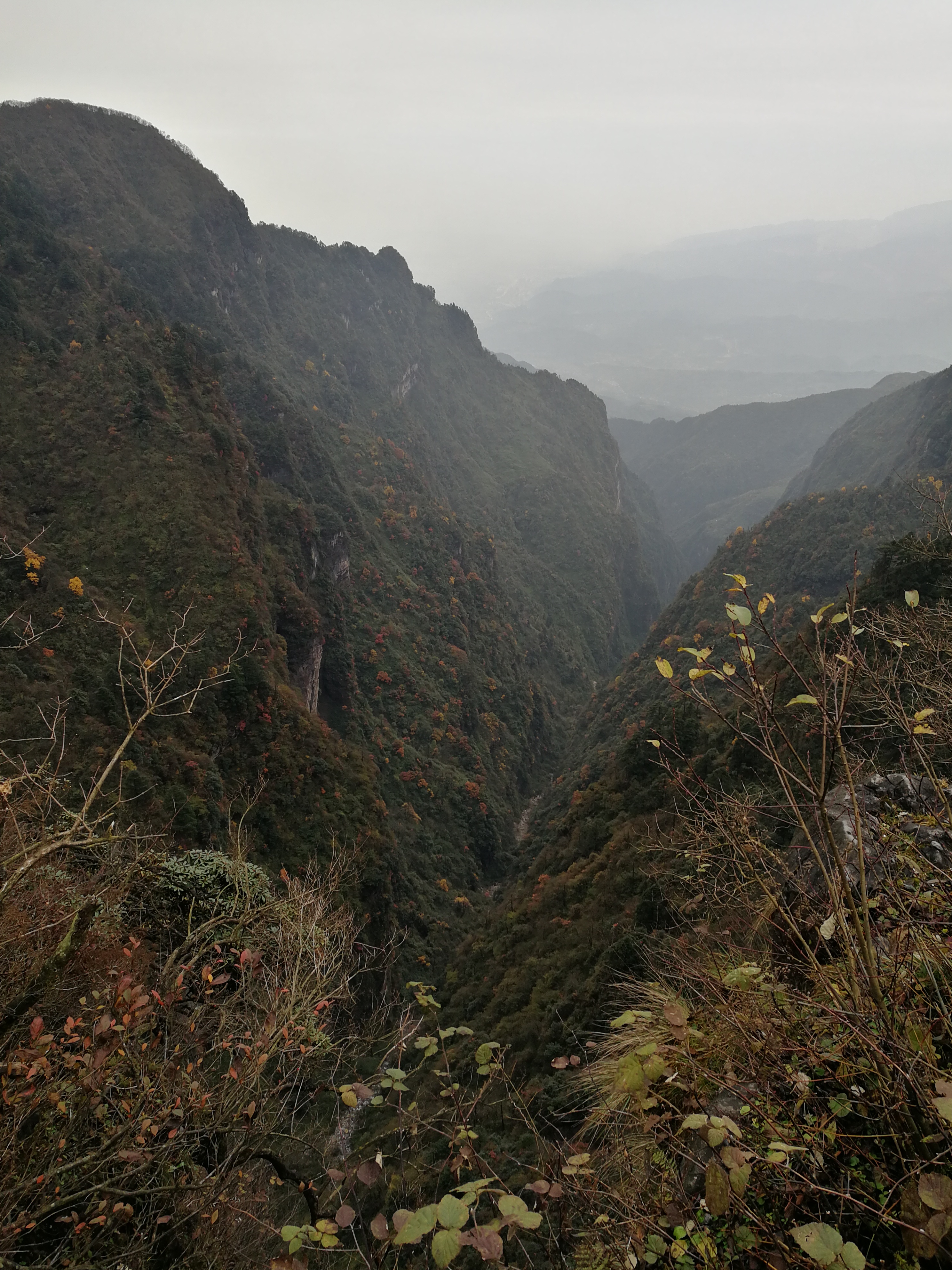 山雾3