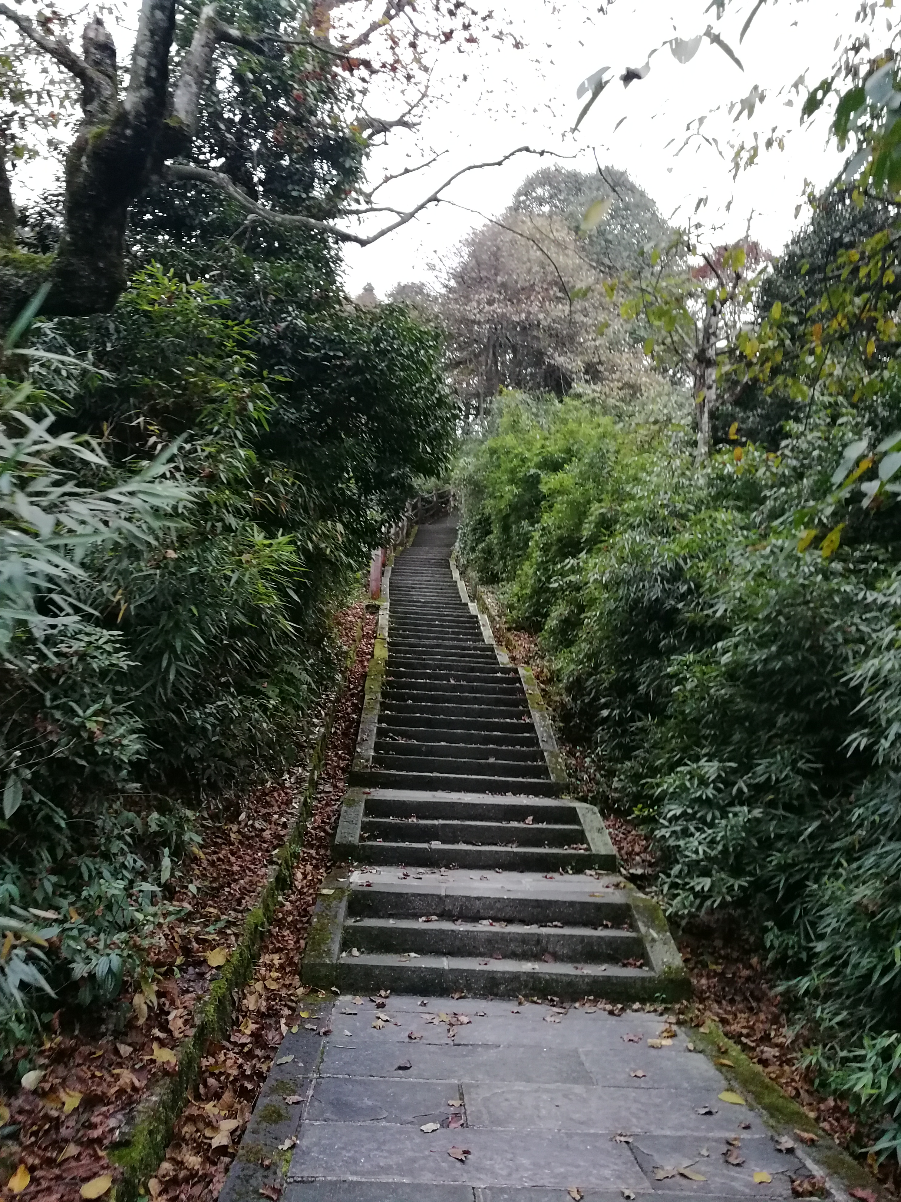 青苔石阶4